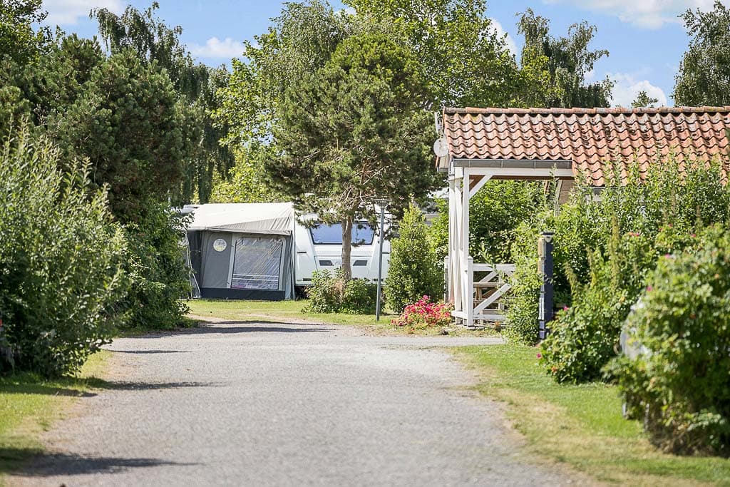 Motorhome camping in Bogense with easy access and spacious pitches