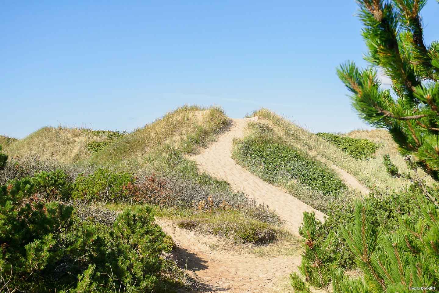 Camping i Tylösand nära stranden på First Camp Tylösand – Halmstad