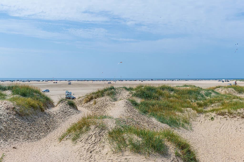 For the nature lover - Visit Rømø