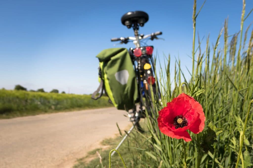 Aktivitet cykelleder