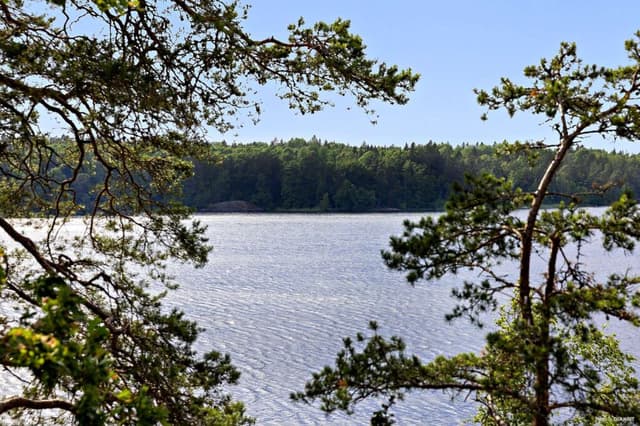 City Stockholm utsikt över vattnet och med natur.