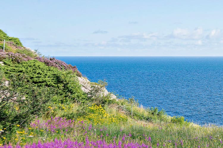 Küstenwanderung auf dem Kullaleden bei Mölle in Schweden