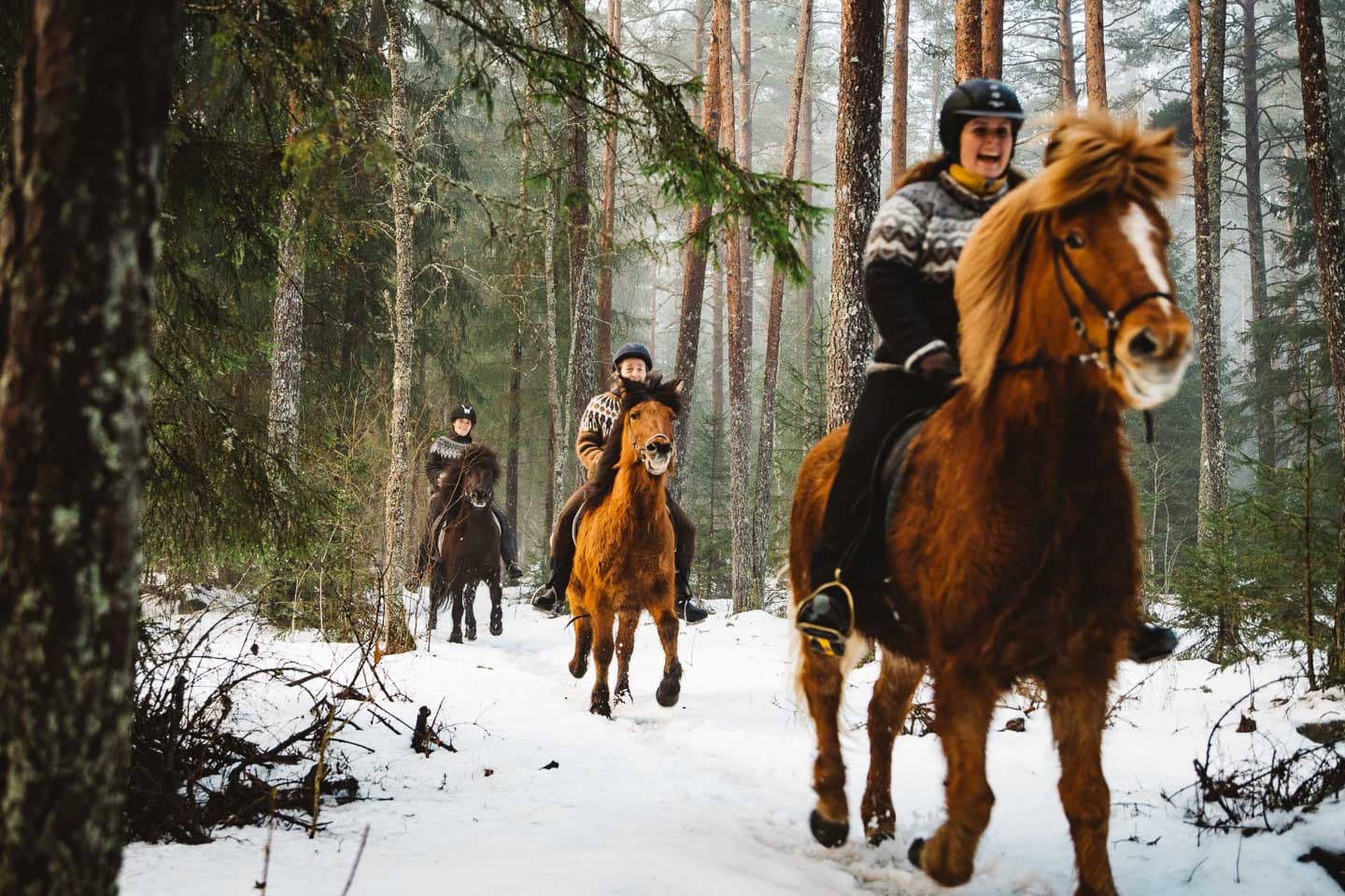 Hesteridning om vinteren Telemark