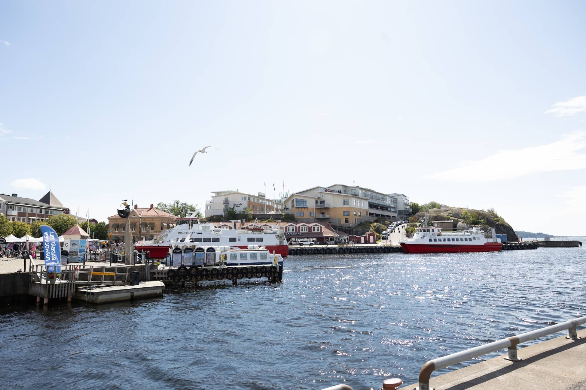 Camping med havsfiske mitt i Strömstad vid First Camp City – makrill, torsk och havsöring.