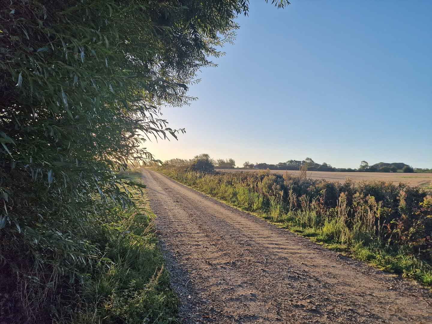 Wanderweg in den Svanninge Bakker auf Fünen