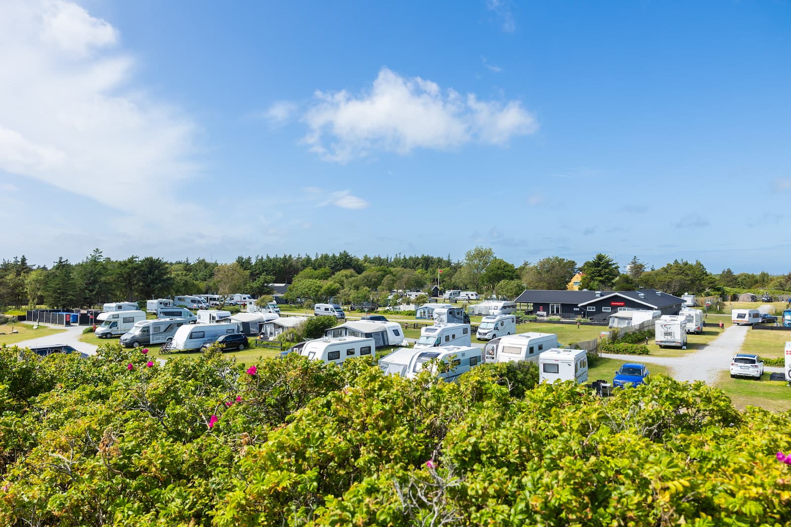 Camping pitches at First Camp Grenen Strand surrounded by dunes in Skagen