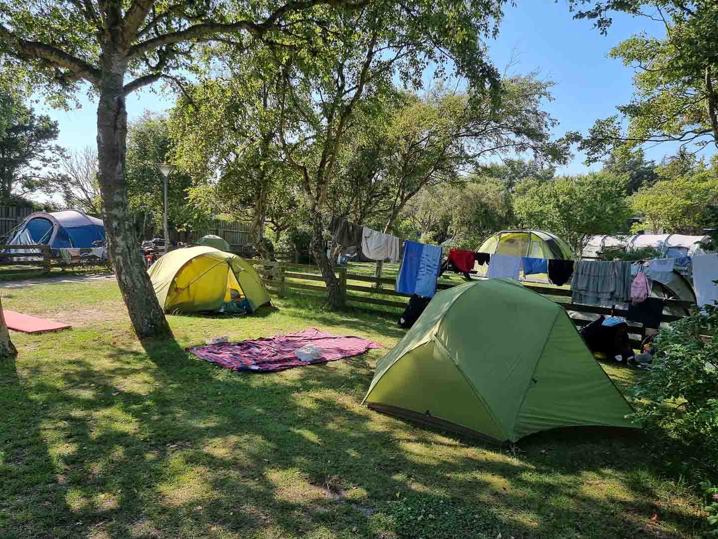 Camping pitch with electricity at First Camp Grenen Strand for caravans and motorhomes