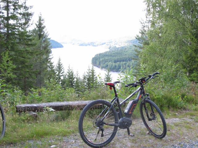 Biking in Telemark