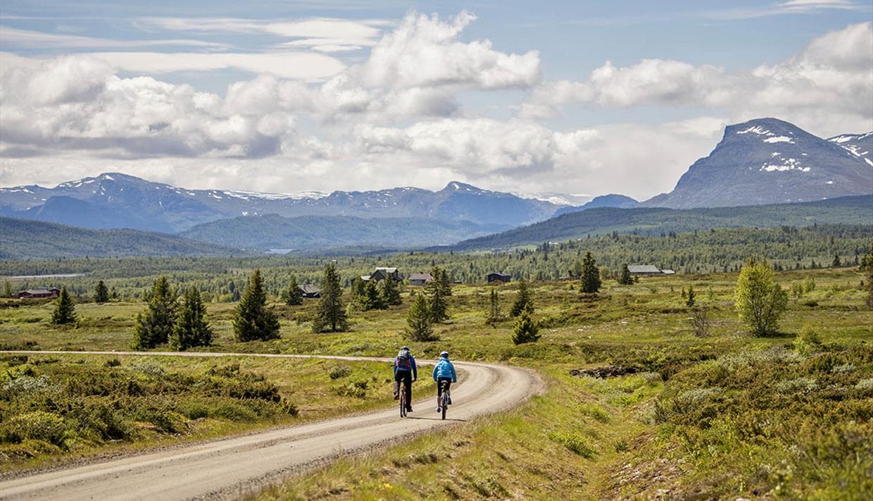 Cyclist on the Mjølkevegen route in Valdres near Beitostølen through mountain scenery