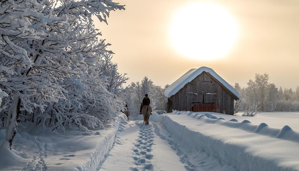 Horseback riding in snowy mountains near Beitostølen