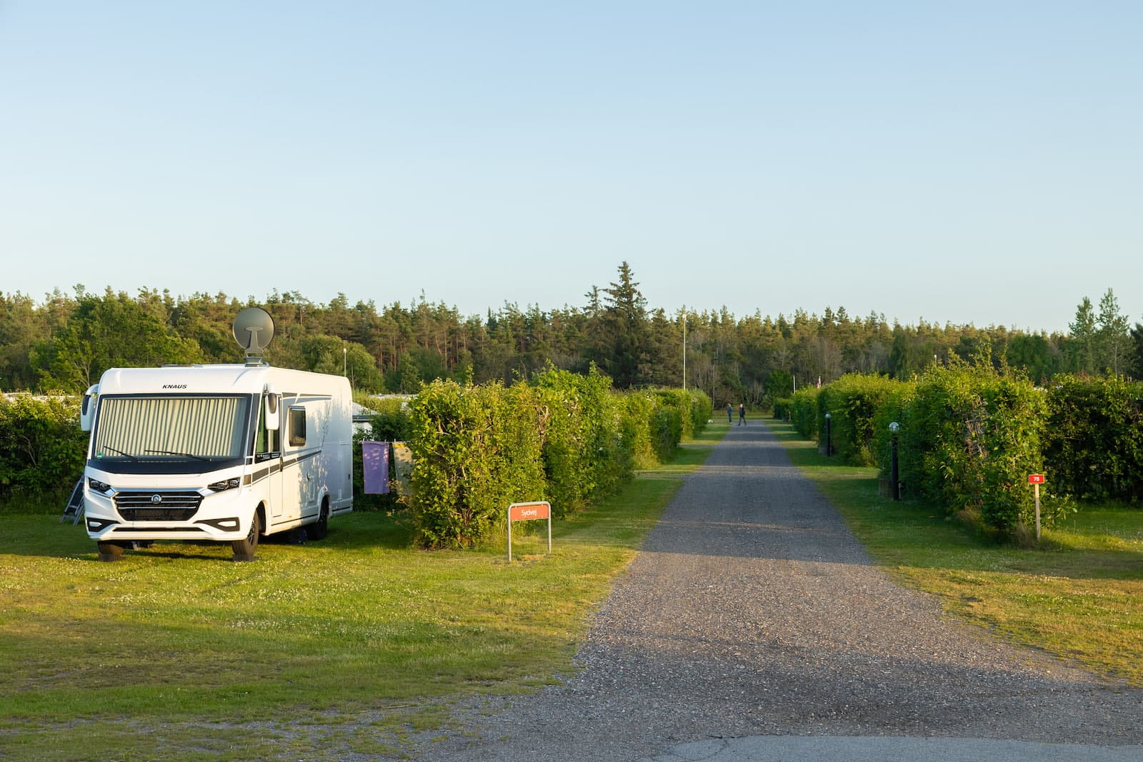 Camping pitch with electricity at First Camp Råbjerg Mile in Skagen