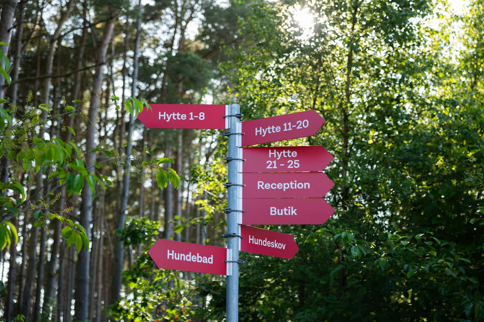 First Camp Råbjerg Mile - Skagen Camping