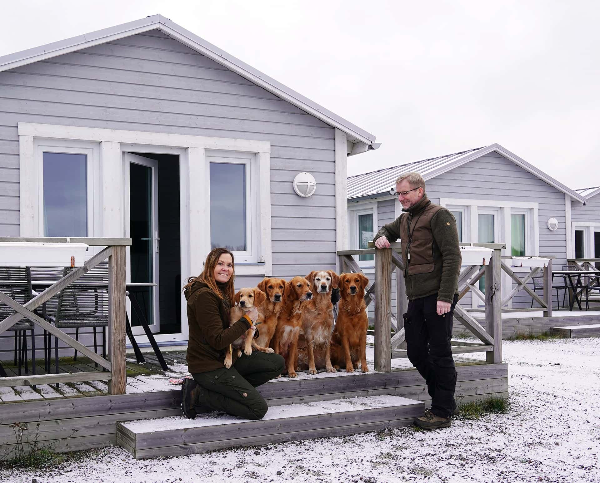 Dogs playing together at a dog meetup at a dog-friendly campsite.