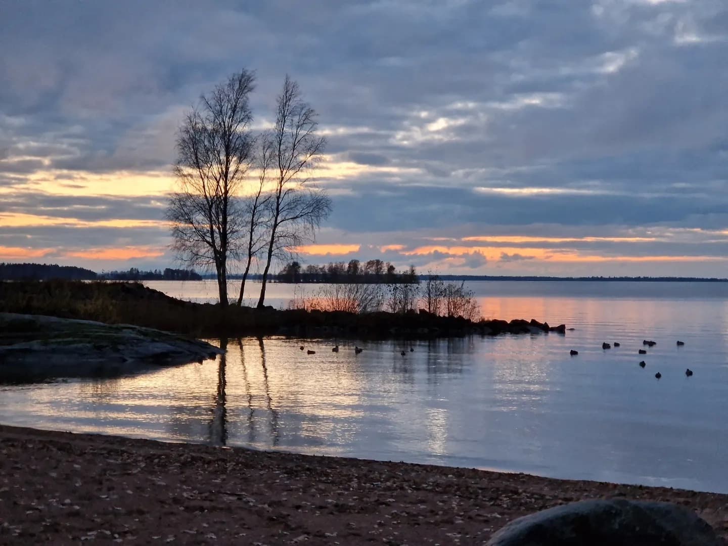 vinter på ekudden