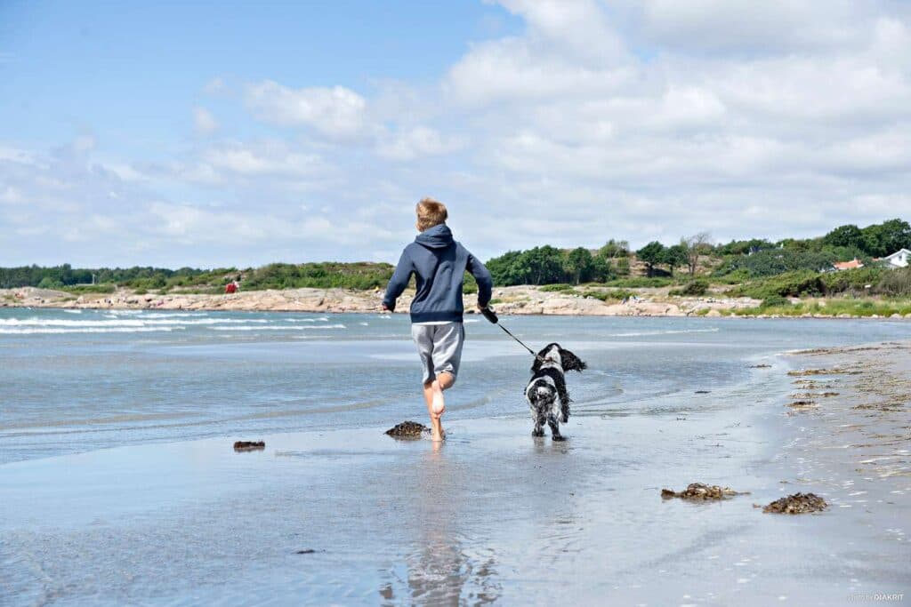 Hundvänlig strand i Varberg vid campingen