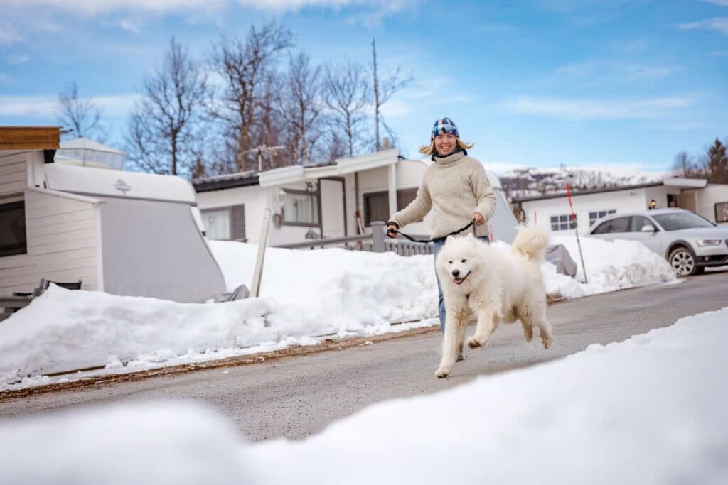 Hund og skiløper på First Camp Beitostølen – Valdres