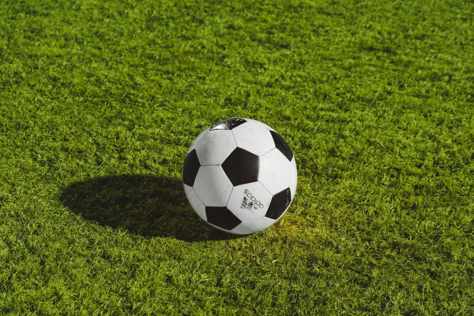 fotball